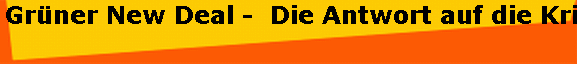 Gr�ner New Deal -  Die Antwort auf die Krise? 
