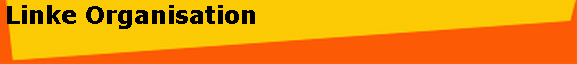 Linke Organisation