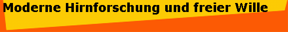 Moderne Hirnforschung und freier Wille